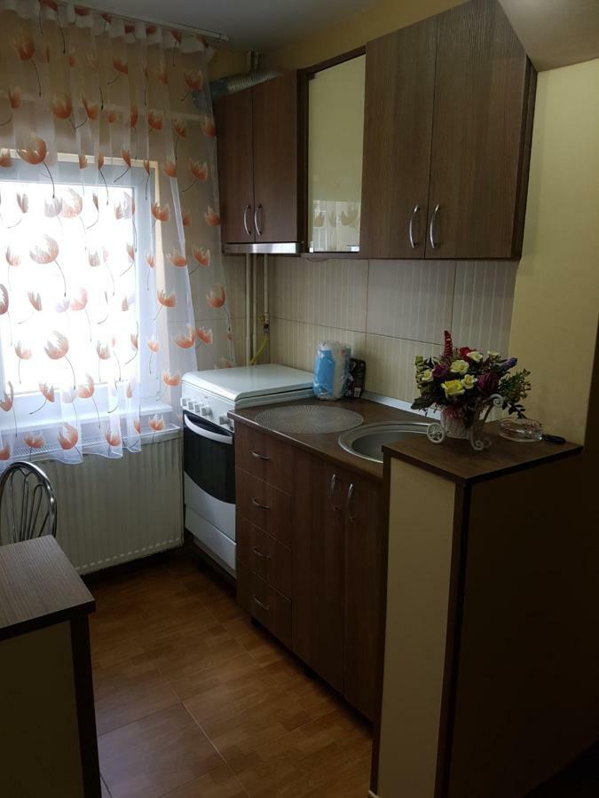 PetroşaniNear Centerアパートメント エクステリア 写真